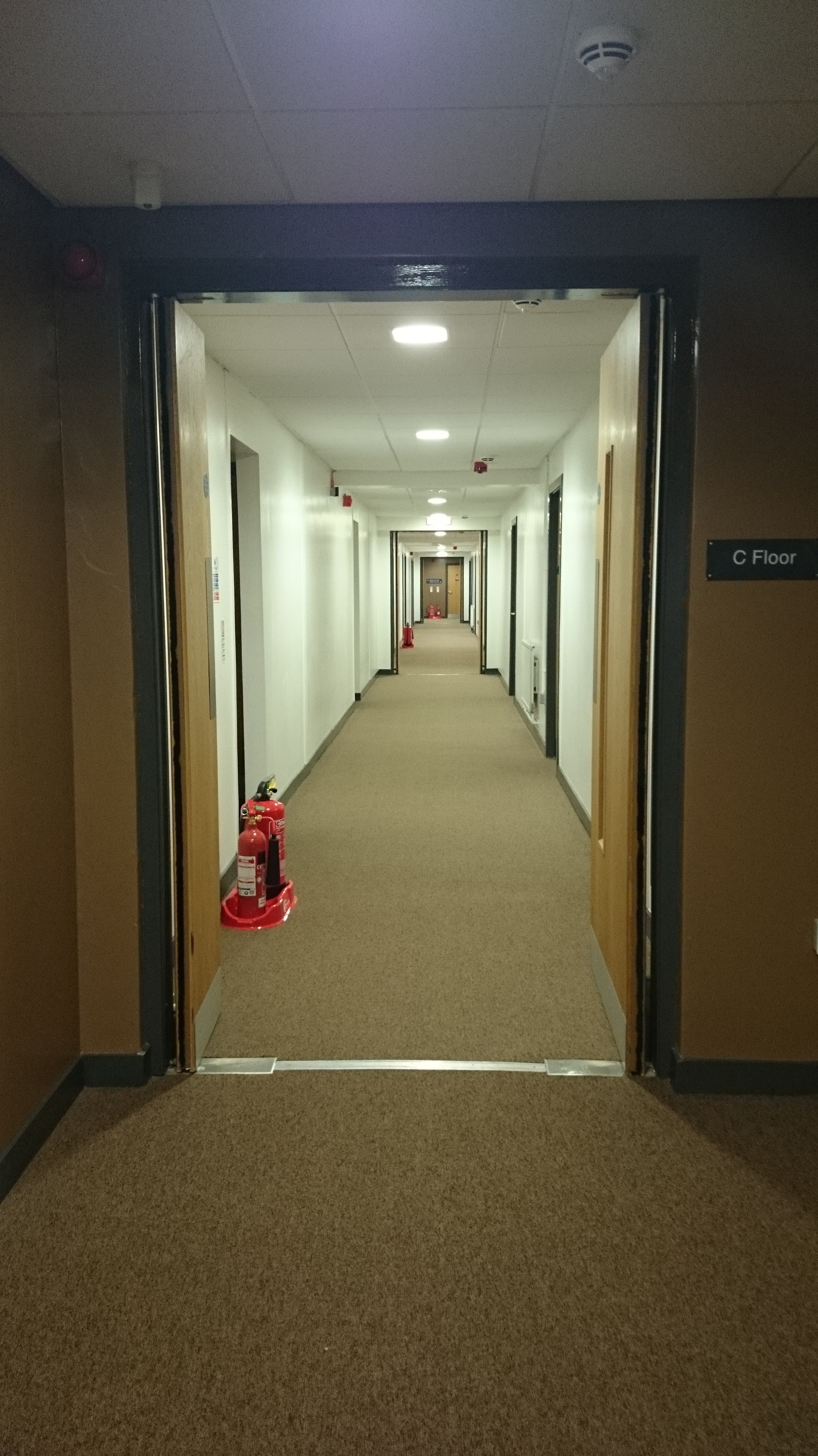3-hallway-of-horrors