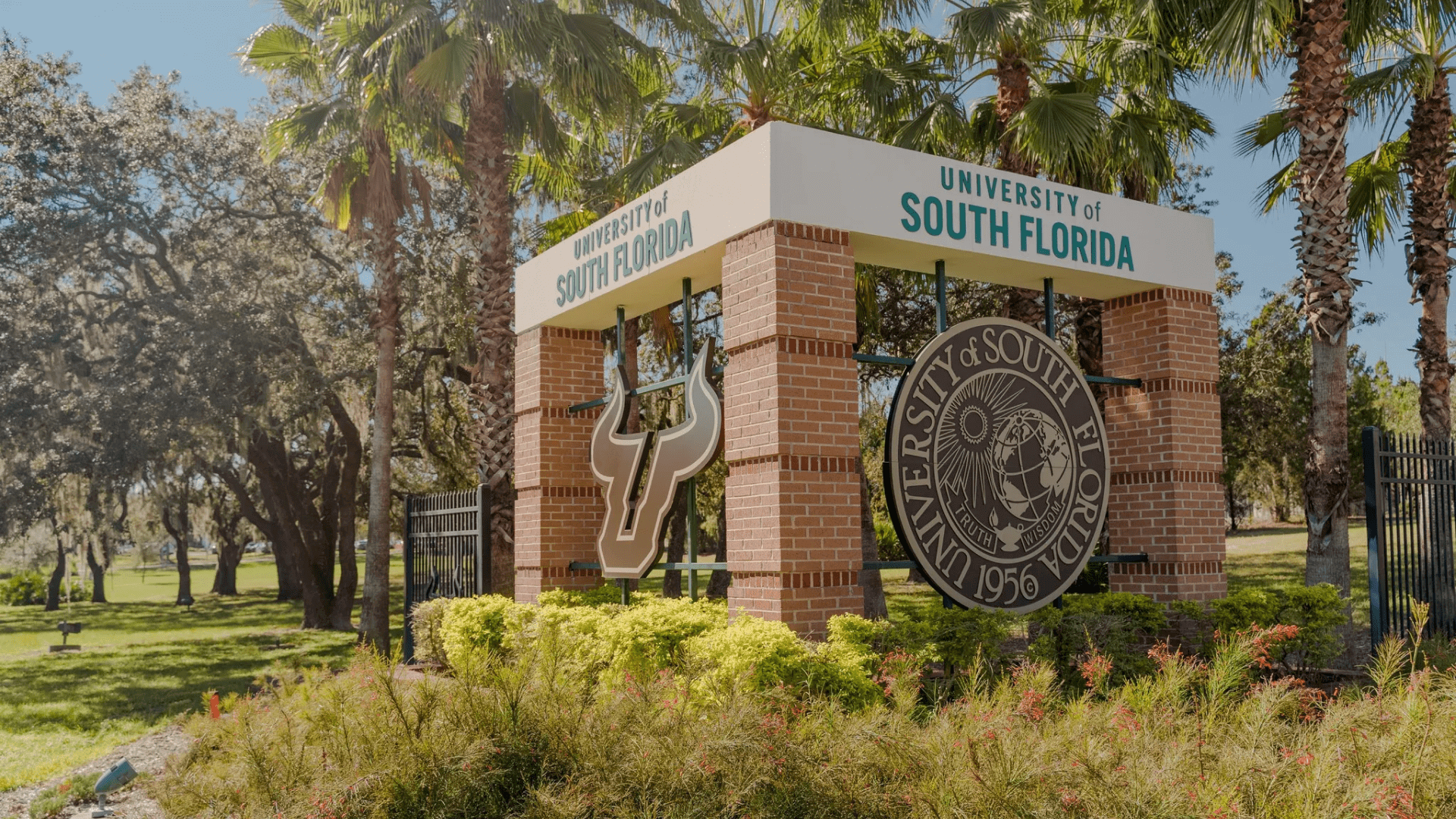 University Of South Florida Min